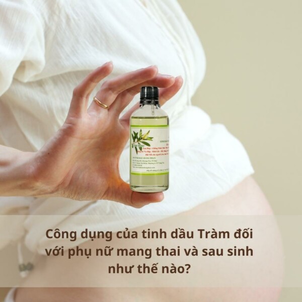 tinh dầu Hằng Phan tìm hiểu 10 công dụng của tinh dầu Tràm đối với trẻ em và phụ nữ mang thai
