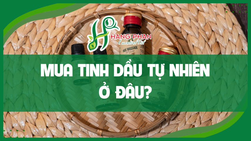 Mua tinh dầu tự nhiên ở đâu