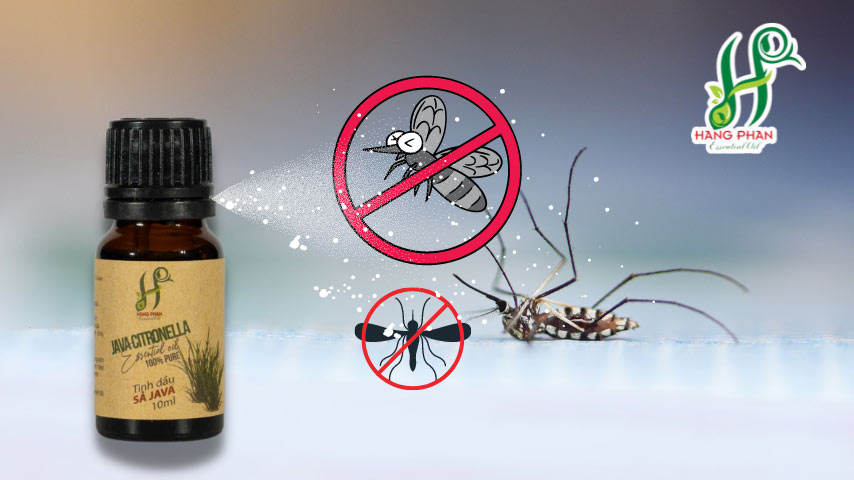 tinh dầu sả Java giúp đuổi muỗi