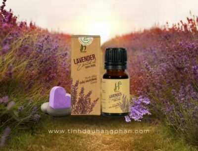 Tinh dầu Oải hương (Lavender)