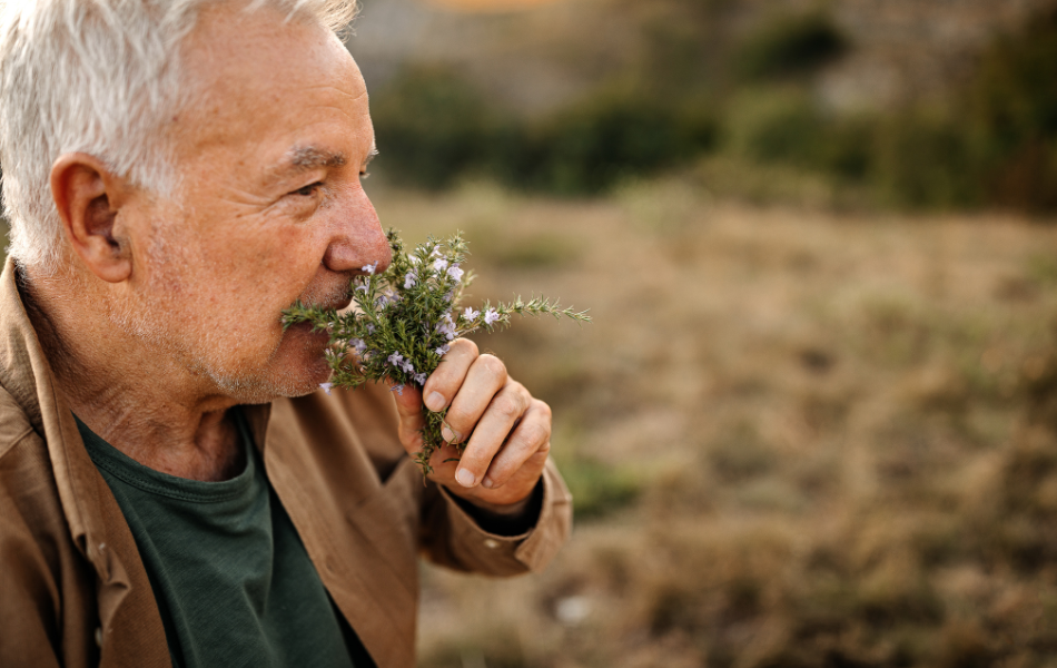 Tinh dầu được sử dụng để chữa bệnh Alzheimer (mất trí nhớ ở người già)