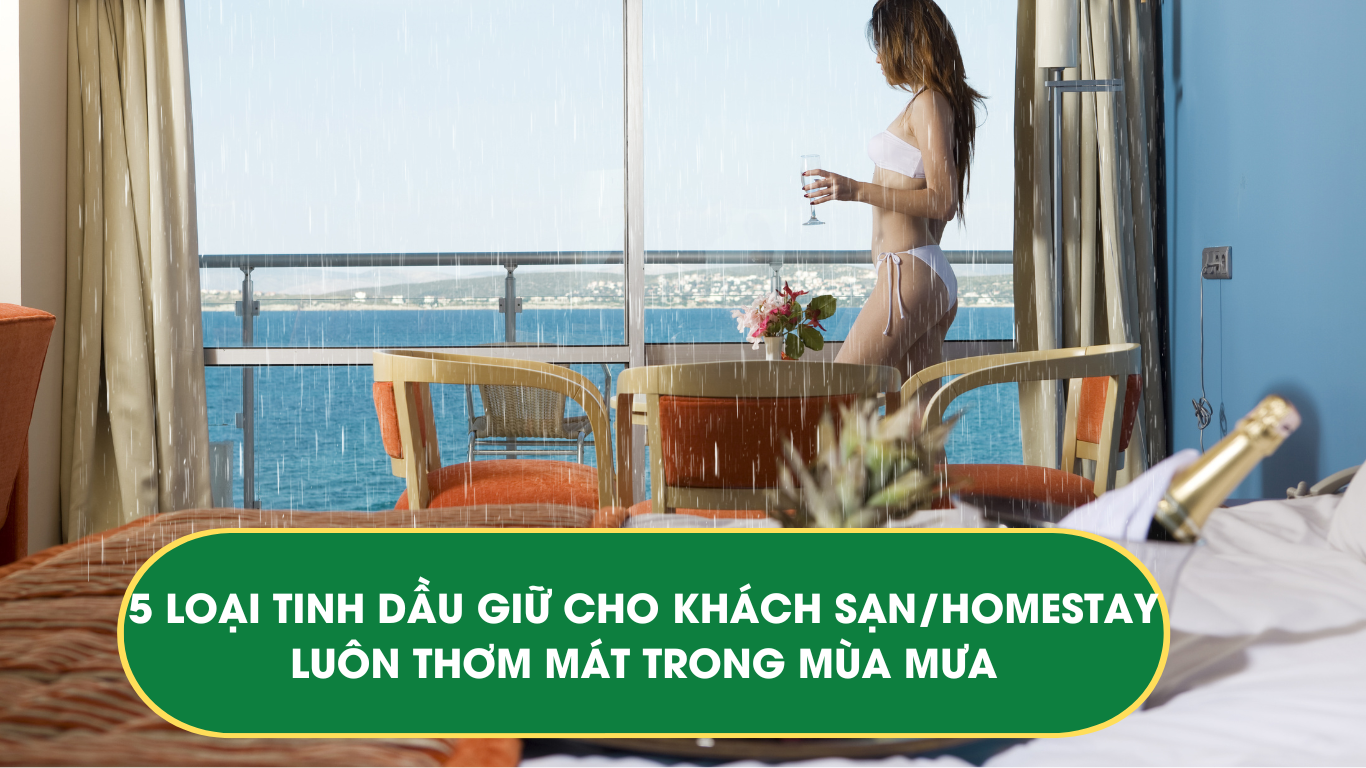 Tinh dầu giữ cho khách sạn/Homestay luôn thơm mát trong mùa mưa