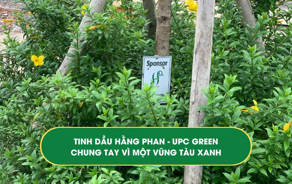 Tinh-dau-hang-phan-ket-hop-upc-vi-vung-tau-xanh