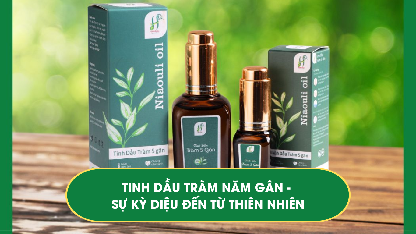 Tinh dầu tràm năm gân