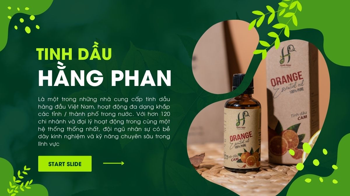 Giới thiệu về Tinh dầu Hằng Phan