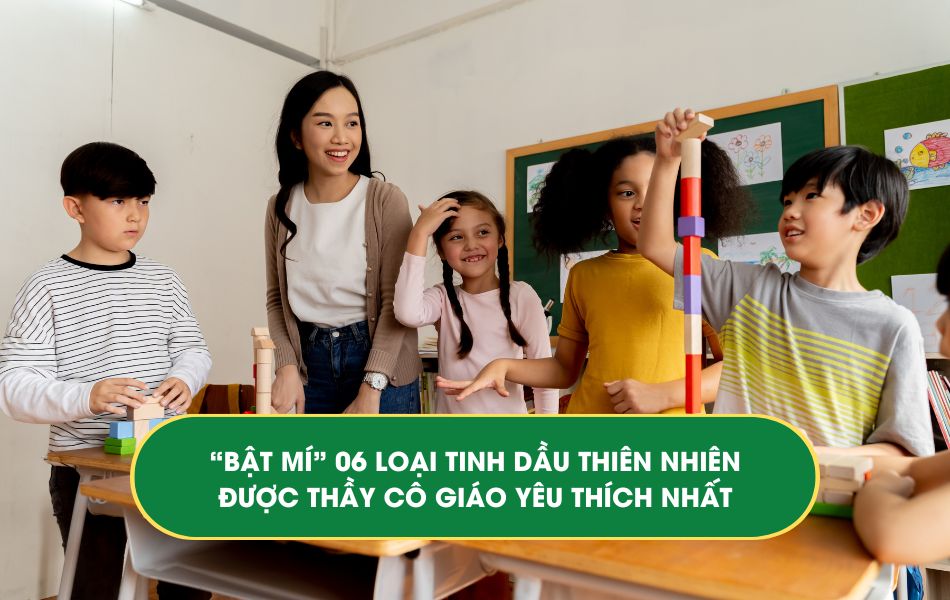 Bật mí 06 loại tinh dầu thiên nhiên được giáo viên yêu thích nhất