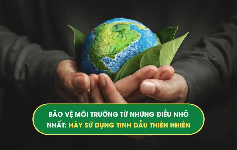 bao-ve-moi-truong-bang-tinh-dau-thien-nhien Bảo vệ môi trường từ những điều nhỏ nhất: Hãy sử dụng Tinh dầu thiên nhiên!