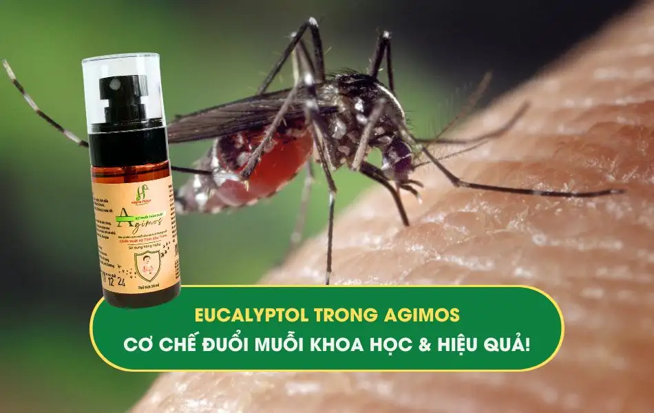 eucalyptol-trong-agimos-co-che-duoi-muoi-khoa-hoc-va-hieu-qua Eucalyptol trong Agimos- Cơ chế đuổi muỗi khoa học và hiệu quả