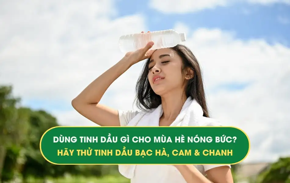 tinh-dau-bac-ha-cam-chanh-cho-mua-he-nong-buc tinh dầu bạc hà, tinh dầu cam và tinh dầu chanh: Vượt qua mùa hè nóng bức