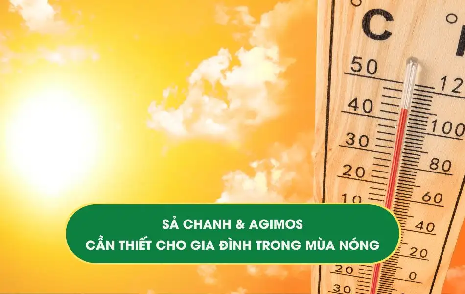 tinh-dau-sa-chanh-va-duoi-muoi-agimos-giai-phap-an-toan-mua-nong Tinh dầu Sả chanh và Tinh dầu đuổi muỗi Agimos - Giải pháp xua đuổi côn trùng an toàn trong mùa nóng