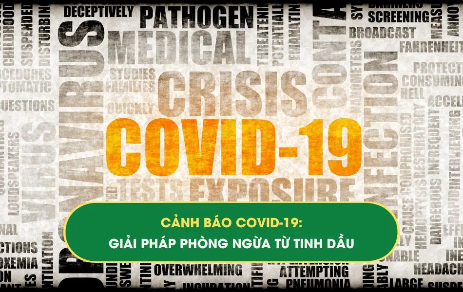 canh-bao-covid-19-giai-phap-phong-ngua-tu-tinh-dau Cảnh báo Covid-19: Giải pháp phòng ngừa từ tinh dầu