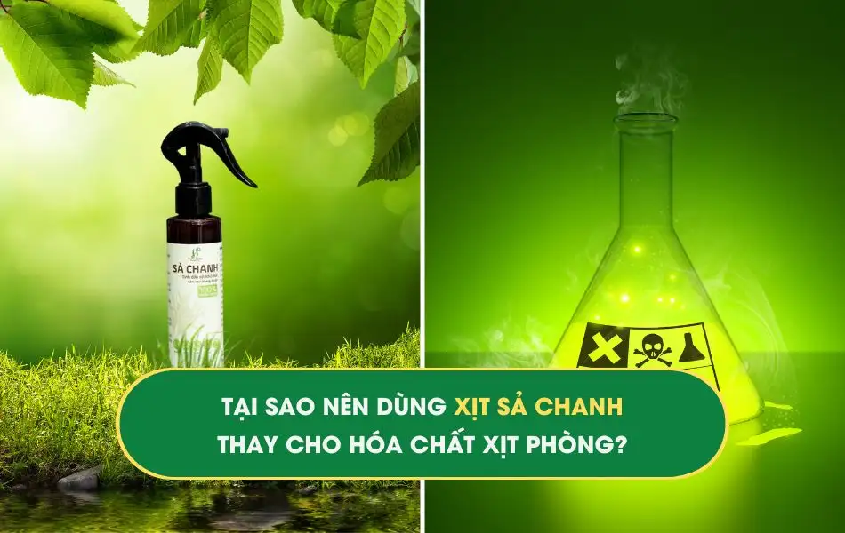 tai-sao-nen-dung-xit-sa-chanh-thay-hoa-chat Tại sao nên lựa chọn tinh dầu xịt sả chanh thay cho hóa chất xịt phòng?