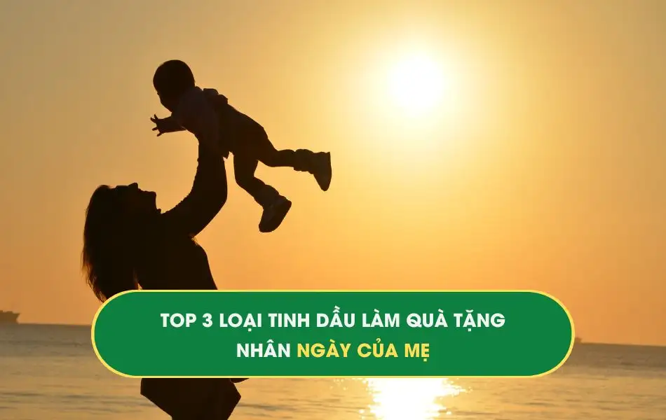 top-3-loai-tinh-dau-lam-qua-tang-nhan-ngay-cua-me Top 3 loại tinh dầu làm quà tặng nhân ngày của mẹ