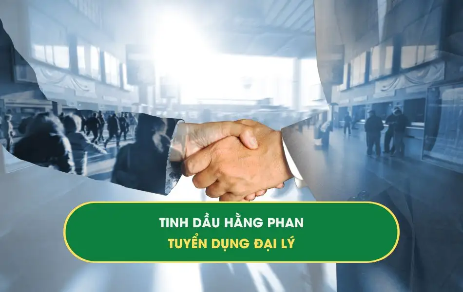 tuyen-dung-dai-ly Tinh dầu Hằng Phan tuyển dụng Đại lý 2025
