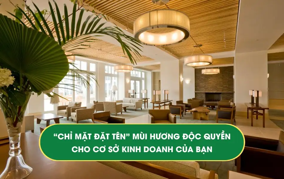 mui-huong-doc-quyen-cho-co-so-kinh-doanh-cua-ban Mùi hương độc quyền: Trải nghiệm "chỉ mặt đặt tên" mùi hương tinh dầu riêng biệt cho Spa, Nhà hàng, Khách sạn