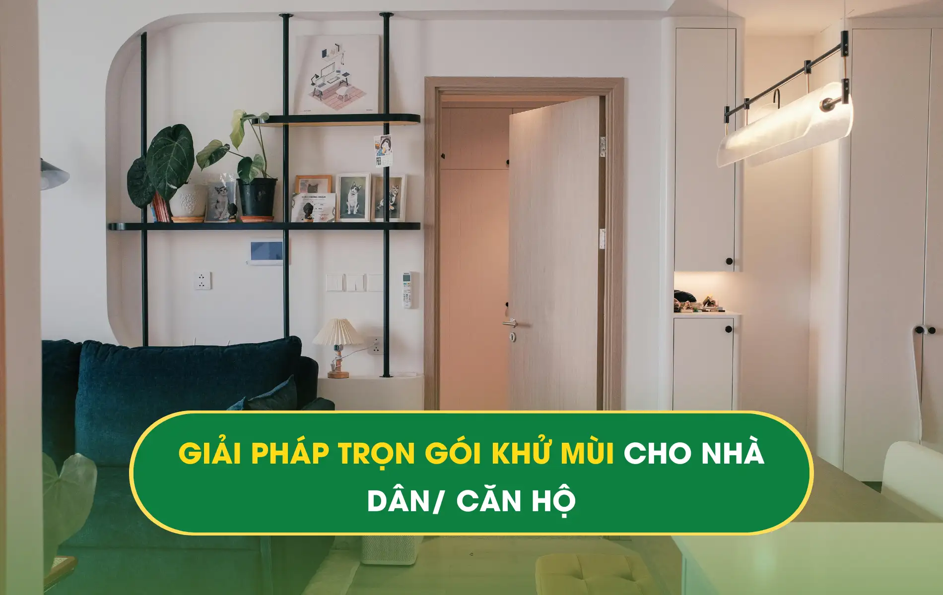 KHỬ MÙI CĂN HỘ