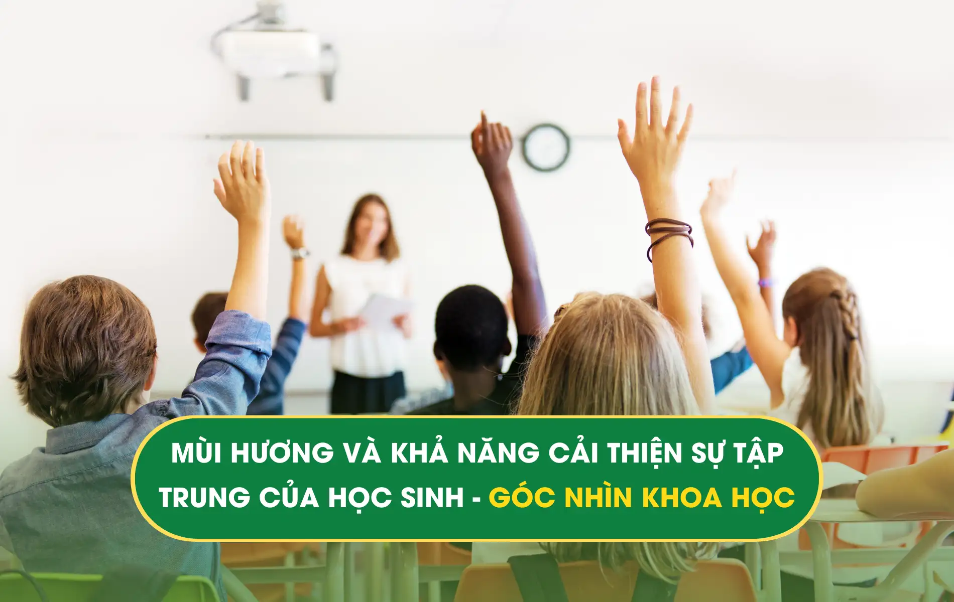Mui-huong-va-kha-nang-cai-thien-su-tap-trung-cua-hoc-sinh Mui-huong-va-kha-nang-cai-thien-su-tap-trung-cua-hoc-sinh