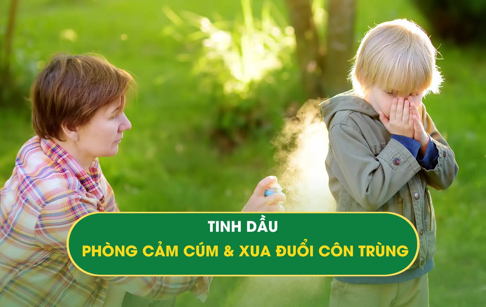 Tinh dầu phòng cảm cúm & xua đuổi côn trùng Tinh dầu phòng cảm cúm & xua đuổi côn trùng