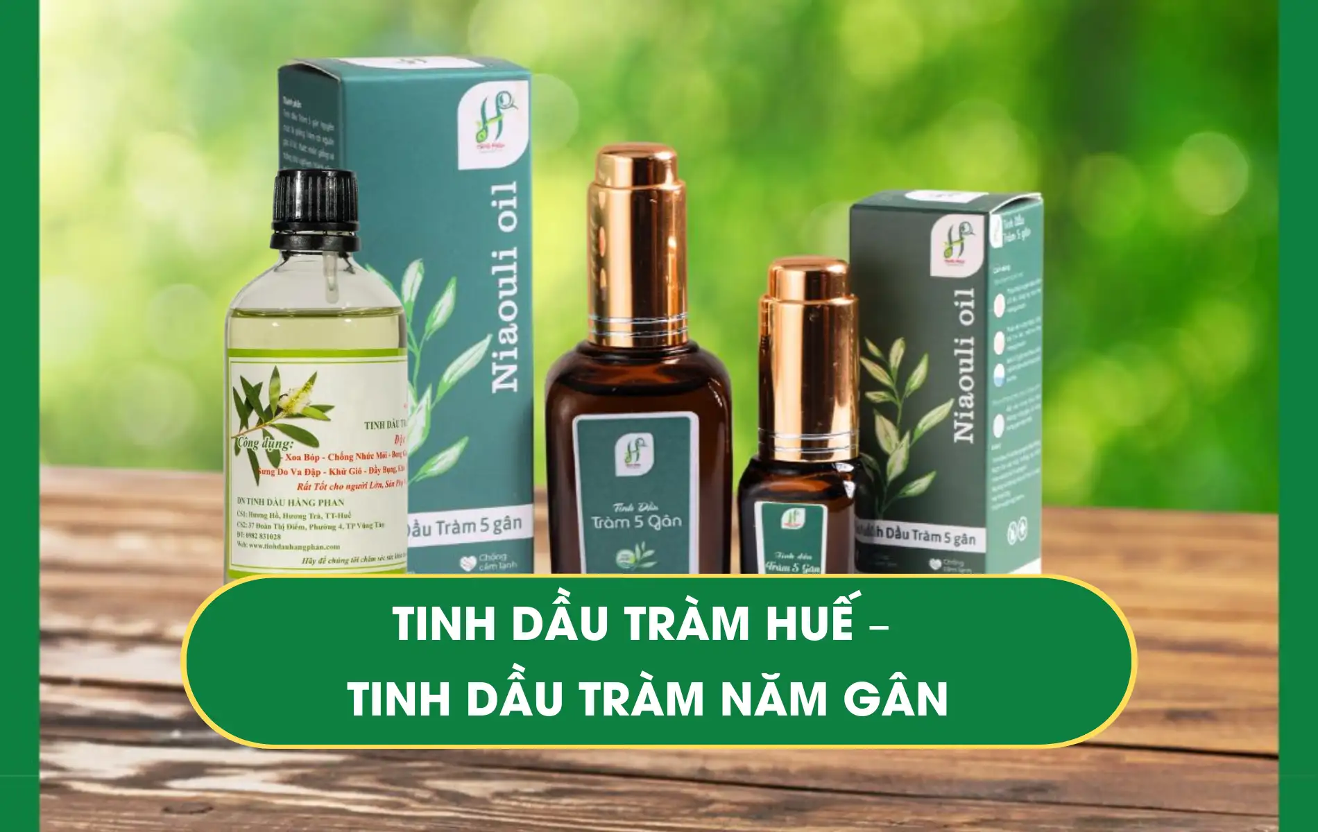 Tinh dầu Tràm Tinh dầu Tràm