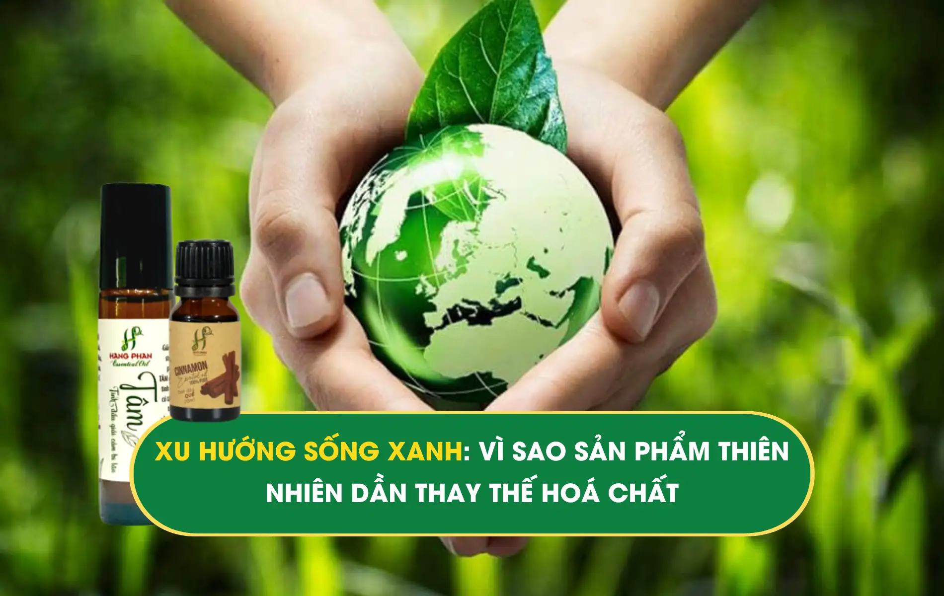 XU HƯƠNG SỐNG XANH (1) XU HƯỚNG SỐNG XANH