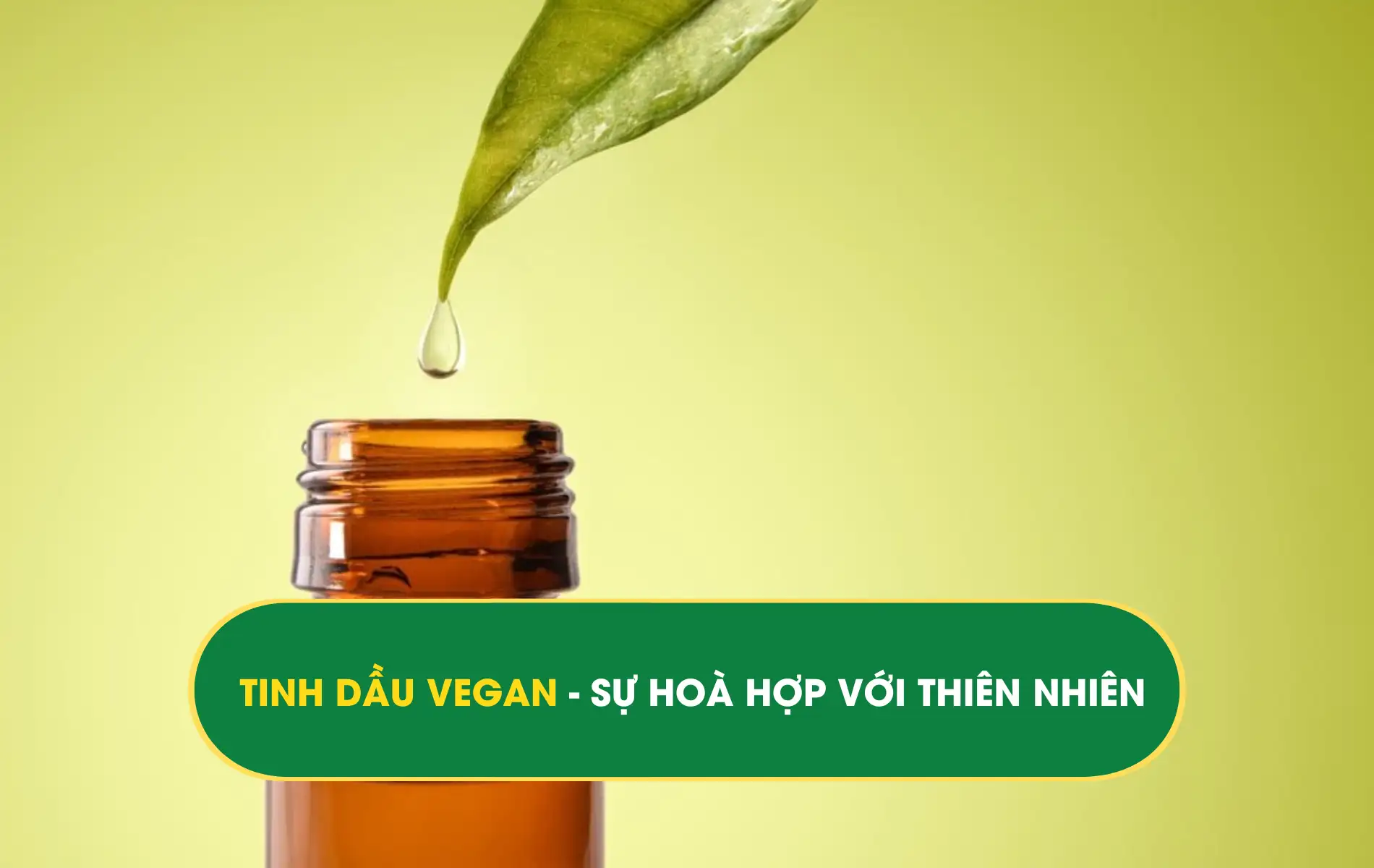 TINH DẦU VEGAN TINH DẦU VEGAN - SỰ HOÀ HỢP VỚI THIÊN NHIÊN