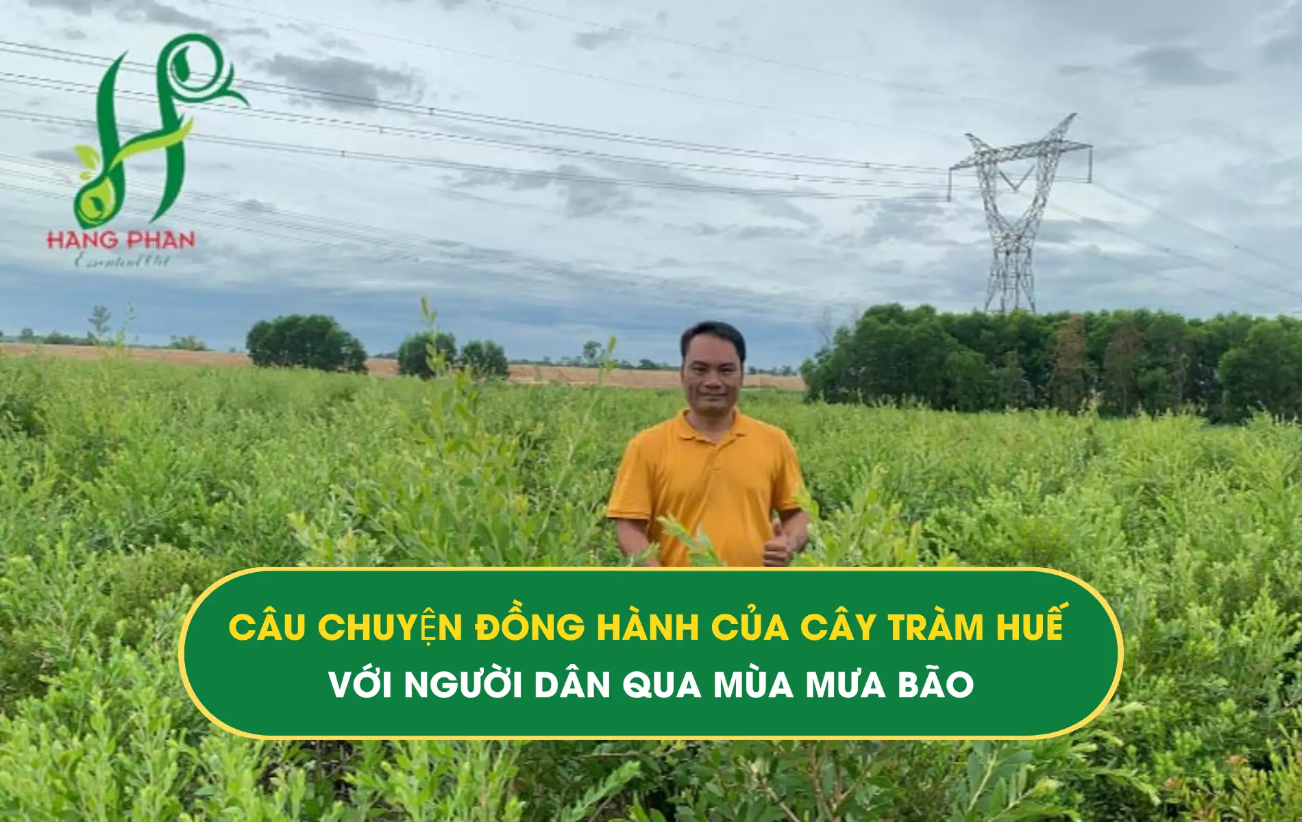 TRÀM HUẾ