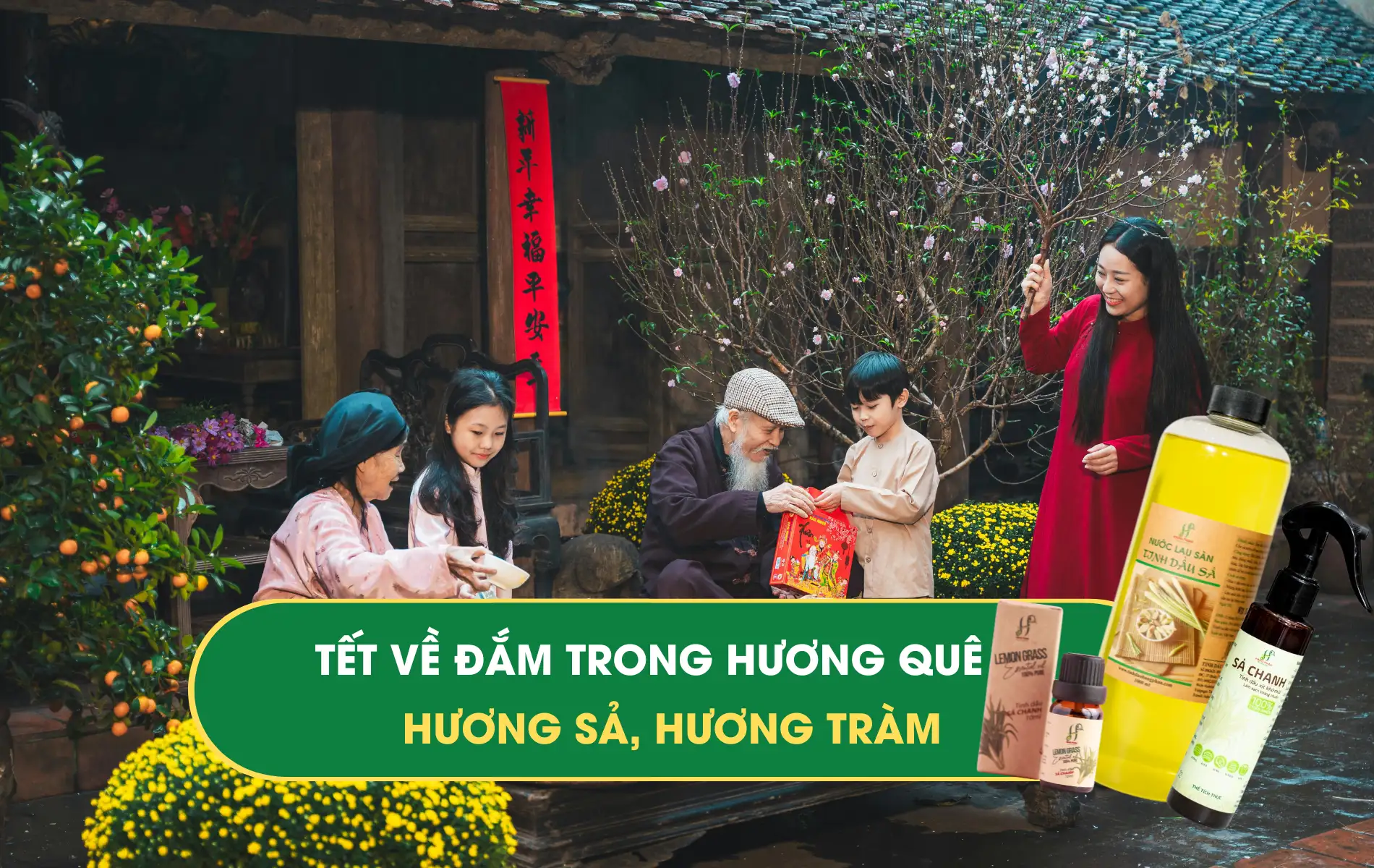 tết tết