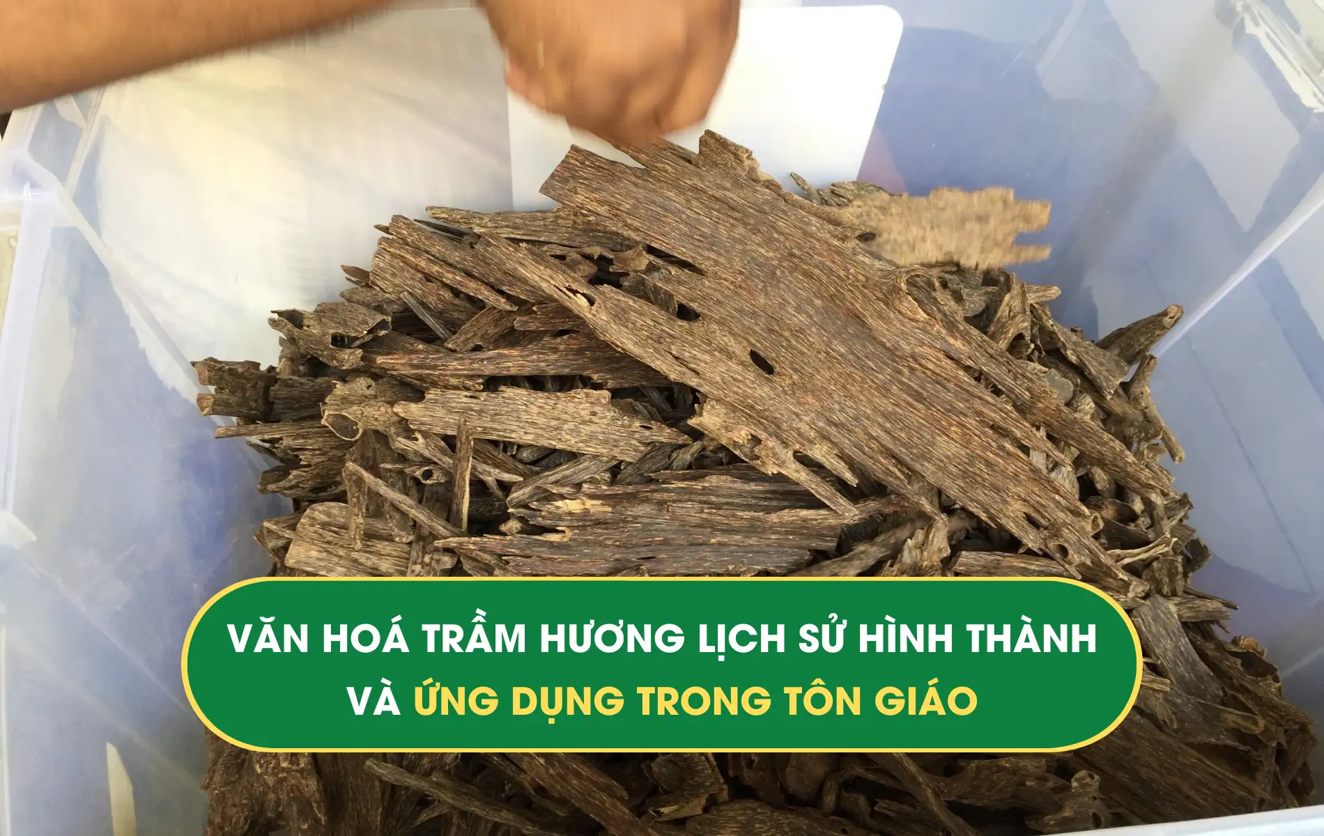 TRẦM HƯƠNG