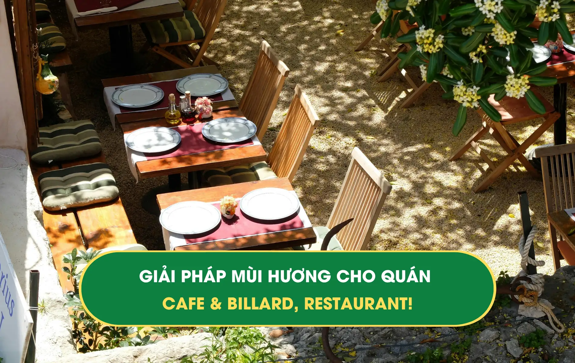 mùi hương mùi hương