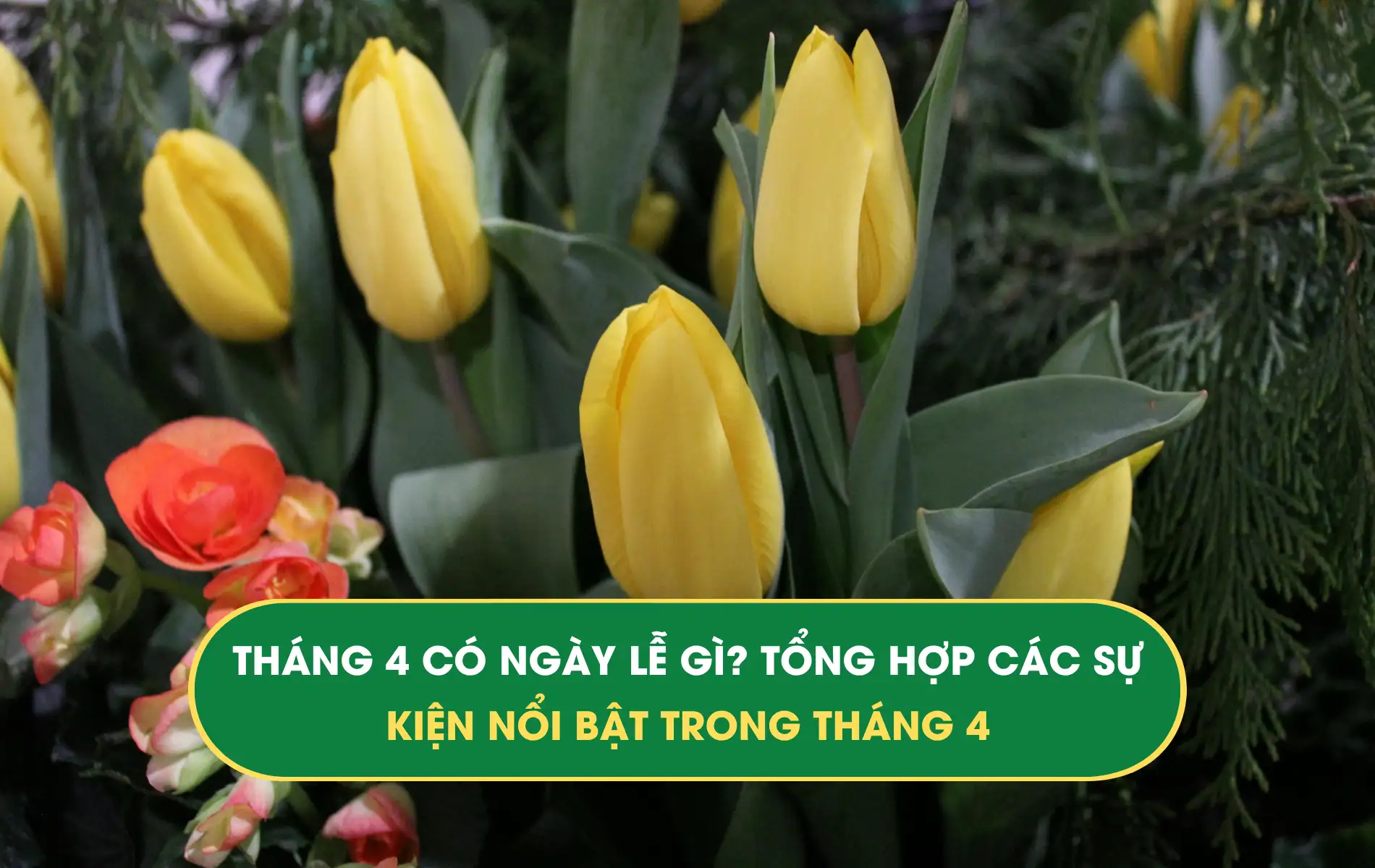tháng 4