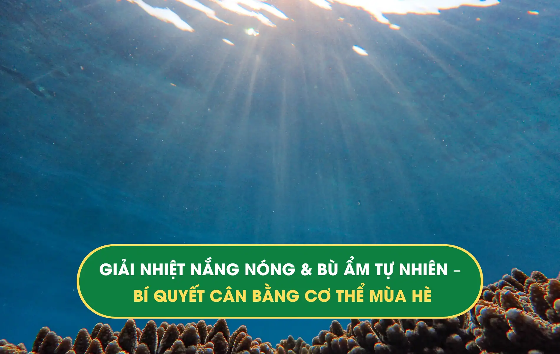 nắng nóng nắng nóng