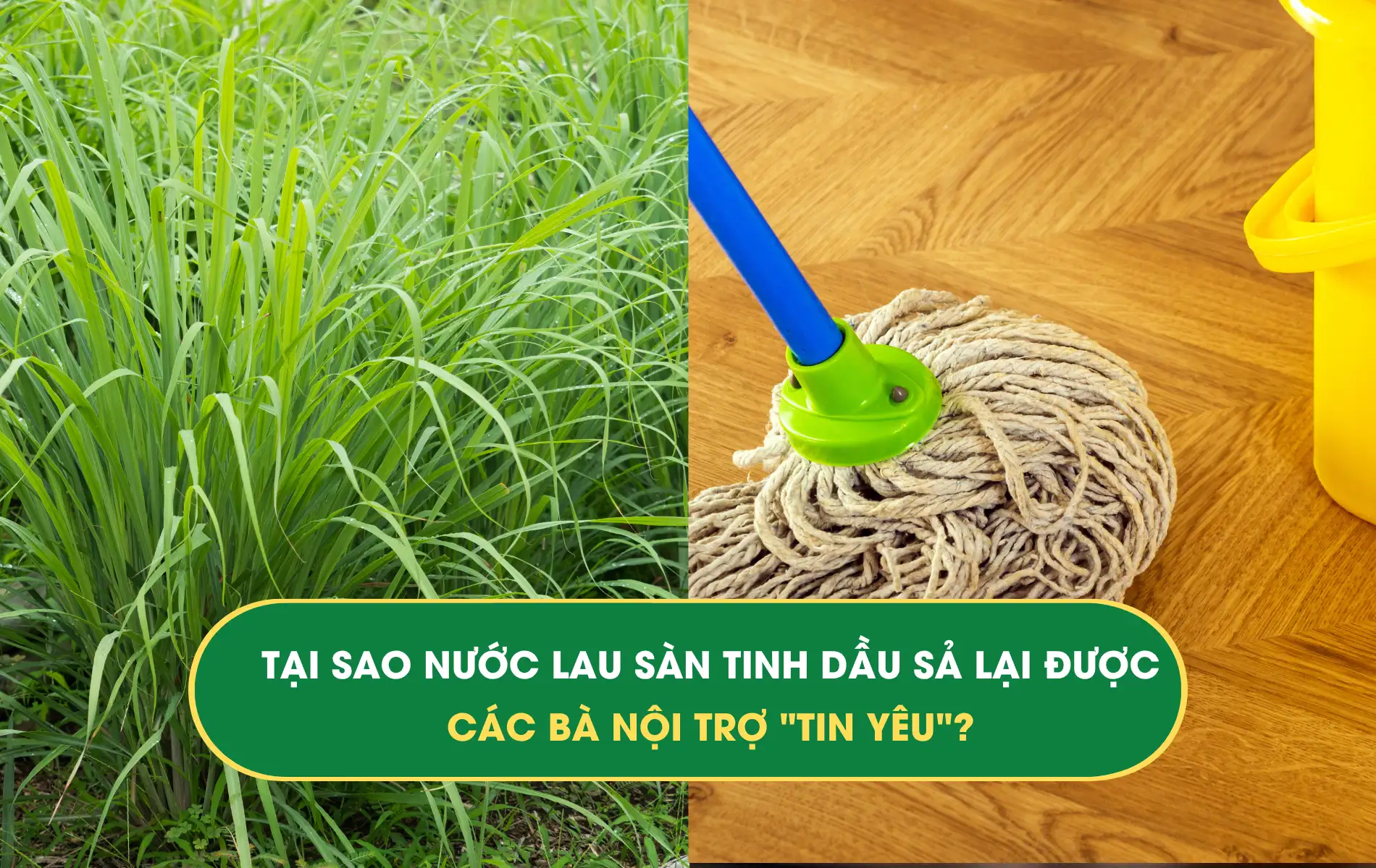 tinh dầu Sả tinh dầu Sả