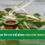 tinh dầu Tràm Huế