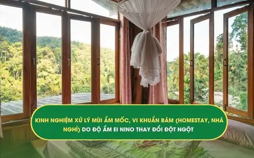 ẨM MỐC