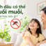 khoa học nói gì về tác dụng xua đuổi côn trùng của tinh dầu thiên nhiên
