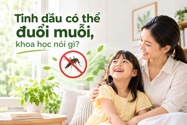 khoa học nói gì về tác dụng xua đuổi côn trùng của tinh dầu thiên nhiên